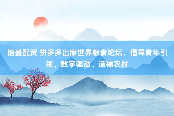 镕盛配资 拼多多出席世界粮食论坛，倡导青年引领、数字驱动、造福农村