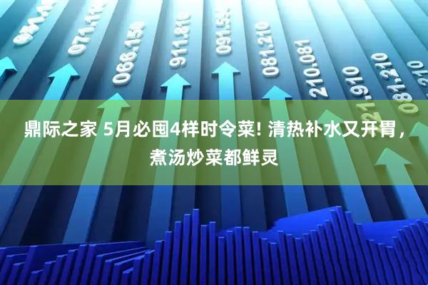 鼎际之家 5月必囤4样时令菜! 清热补水又开胃，煮汤炒菜都鲜灵